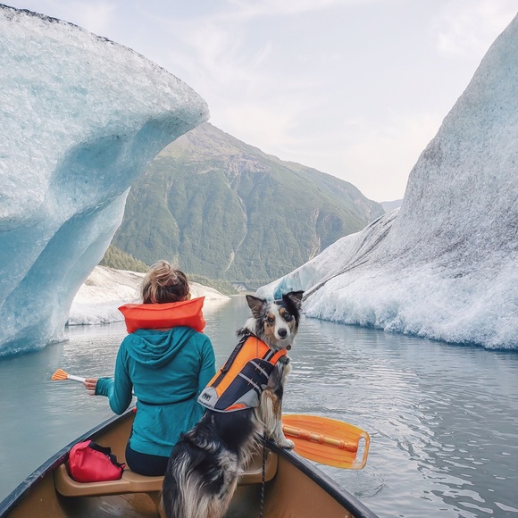 Meet your posher, Tamlyn. - Picture 2 of 5